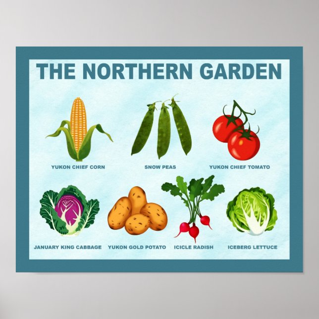 Affiche Jardin potager du Nord (Devant)