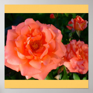 Affiche Jardin rose Mod Chic Classal Flores