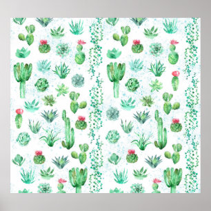 Affiche Jardin Succulent : Aquarelle Arrière - plan sans c