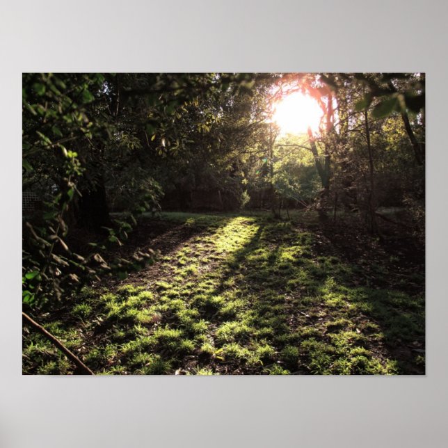 Affiche Jardin Sunshine Imprimer (Devant)