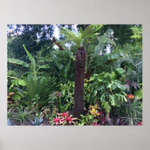 Affiche Jardin tropical