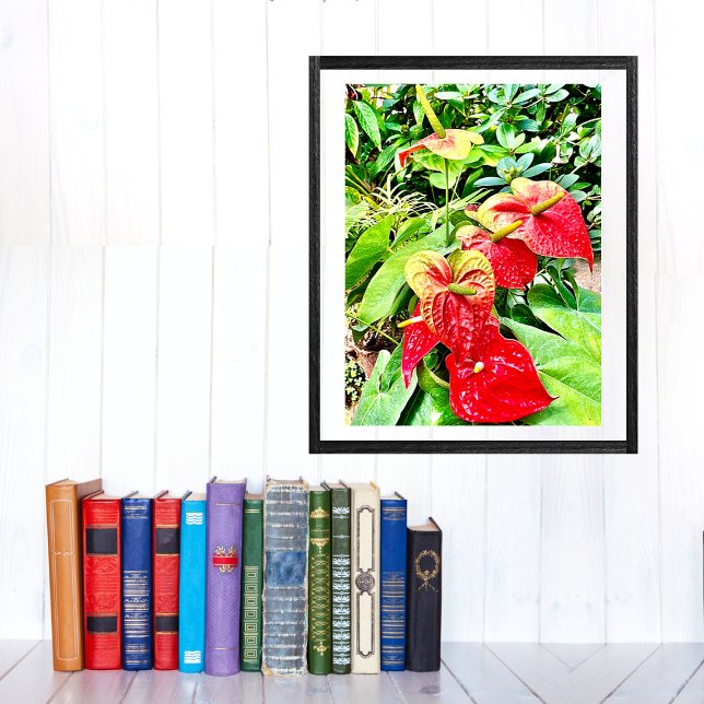 Affiche Jardin tropical à fleurs rouges (Créateur téléchargé)