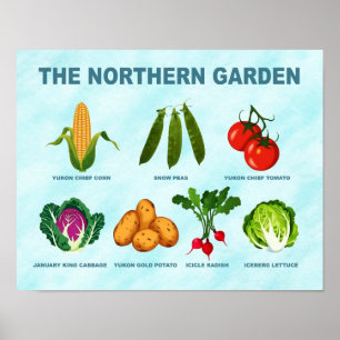 Affiche Jardin végétal du Nord