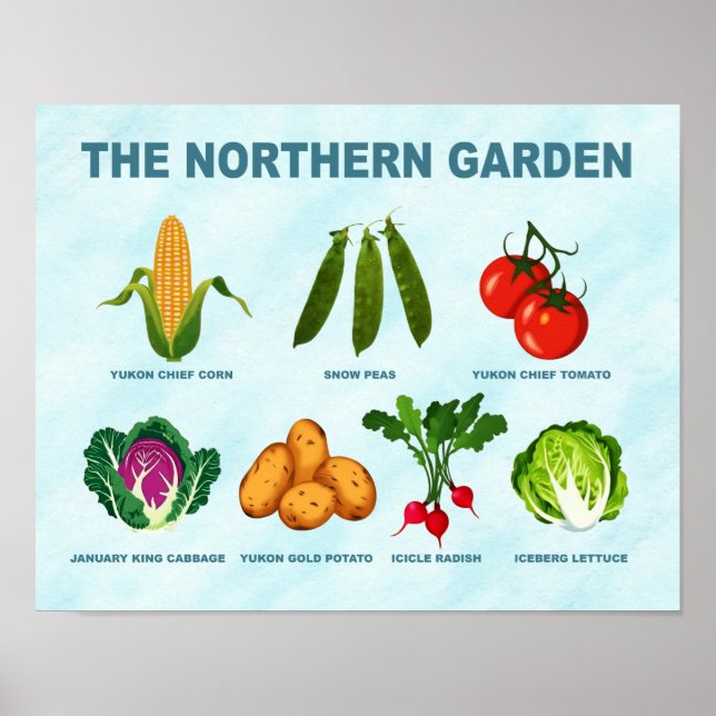 Affiche Jardin végétal du Nord (Devant)