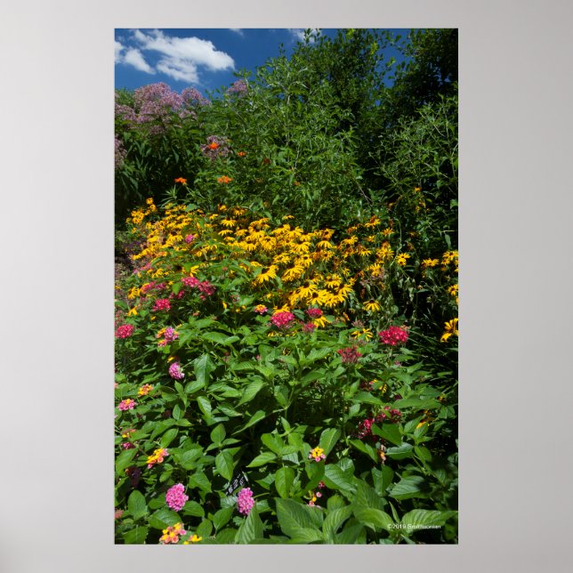 Affiche Jardin verdoyant (Devant)