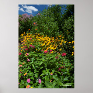 Affiche Jardin vert luxuriant