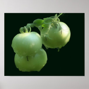 Affiche Jardin Vert Tomates Nature