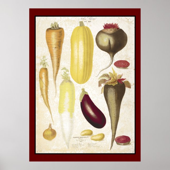 Affiche Jardin vintage Légumes Cuisine Art (Devant)