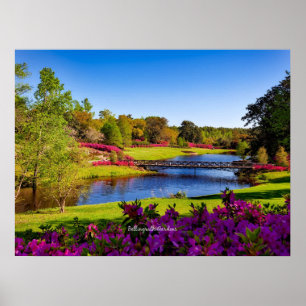 Affiche Jardins Bellingrath, Alabama,