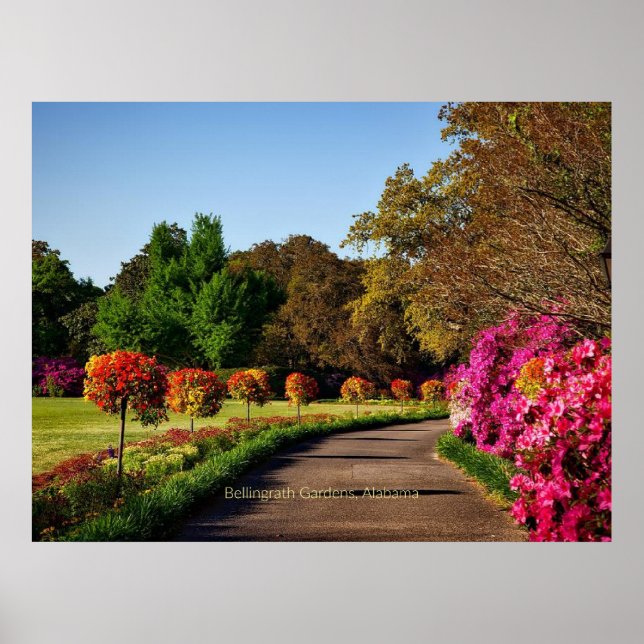 Affiche Jardins Bellingrath, Alabama (Devant)
