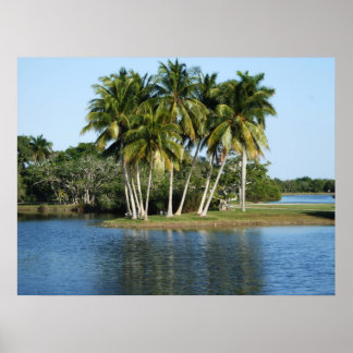 Affiche Jardins botaniques tropicaux Fairchild
