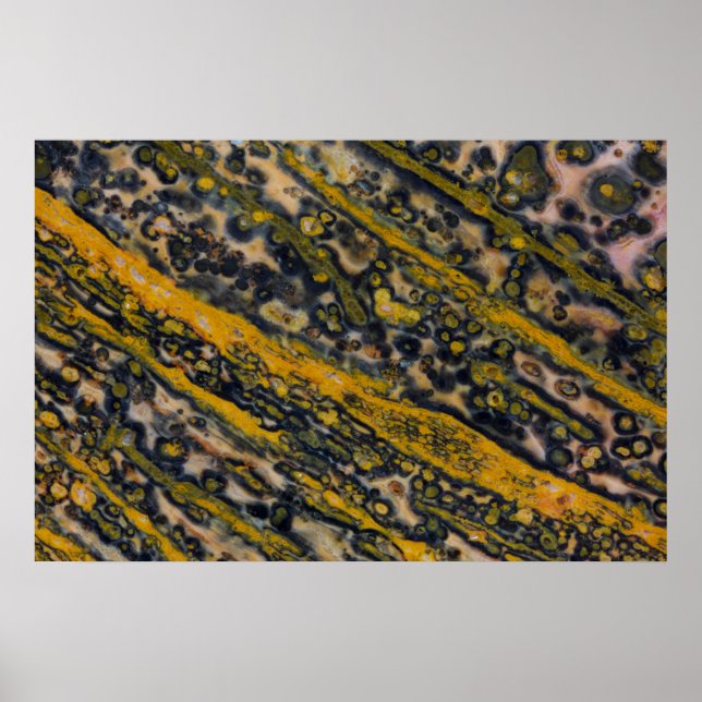 Affiche Jasper océanique (Devant)