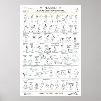 Affiche Jassu : Guérir par le mouvement