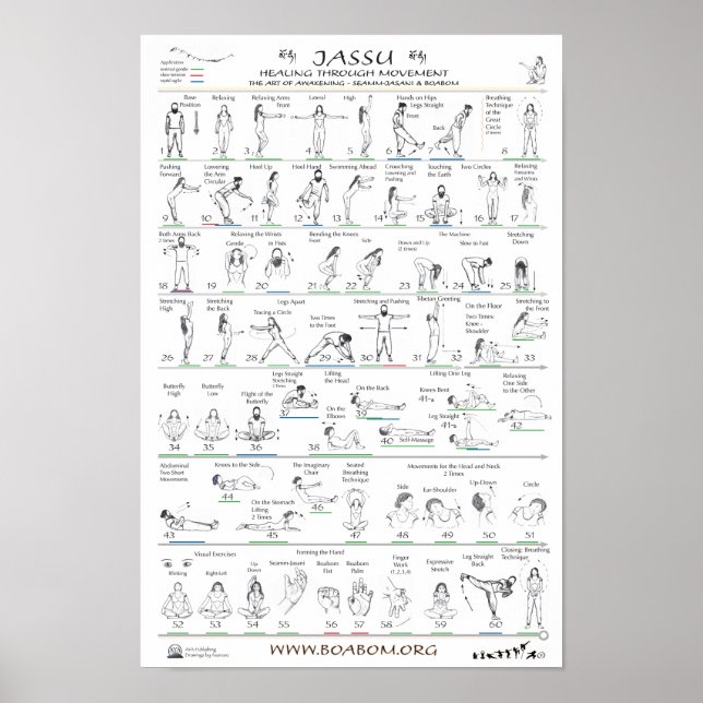 Affiche Jassu : Guérir par le mouvement (Devant)