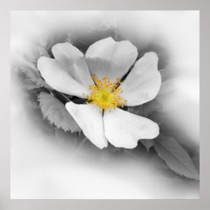 Affiche jaune dans les tons gris