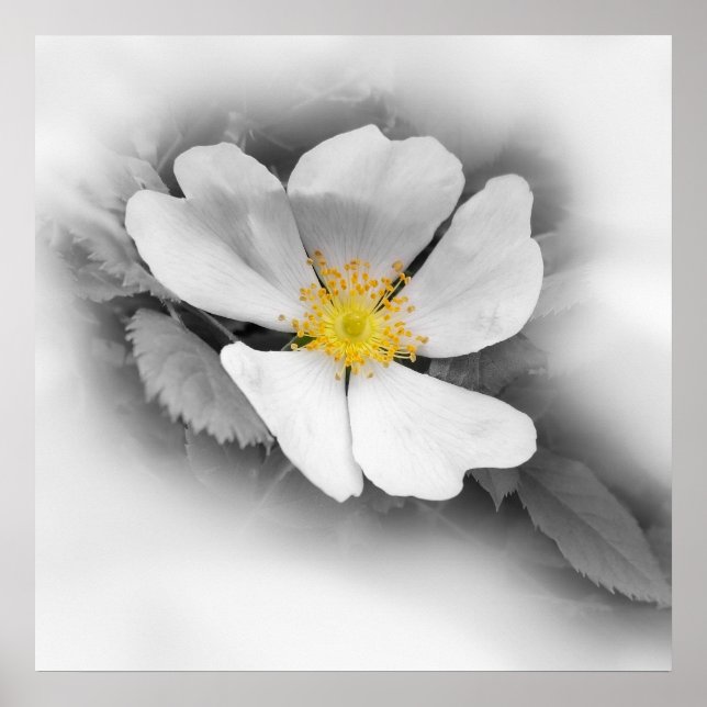 Affiche jaune dans les tons gris (Devant)