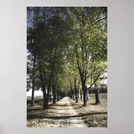 affiche jaune de la forêt