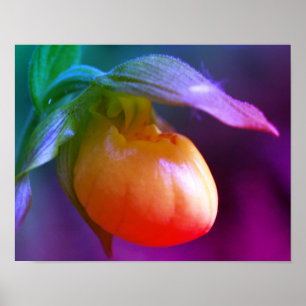 Affiche Jaune Lady Slipper Orchidée Fleur Tinté