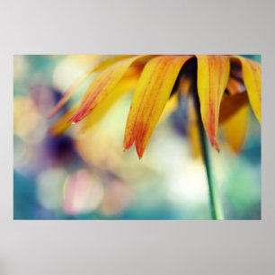 Affiche Jaune Rudbeckia Fleur Pétale Macro Abstrait