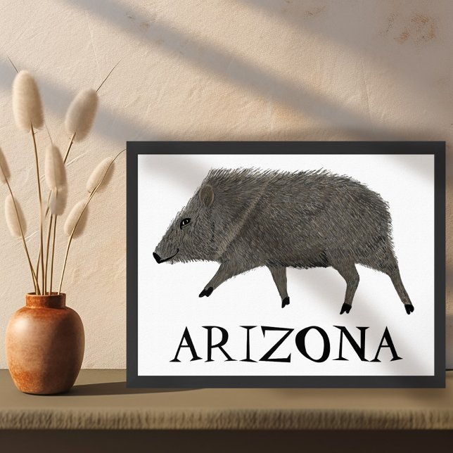 Affiche Javelina Desert Animaux ARIZONA Art (Javelina Desert Animals ARIZONA Wall Art Poster )