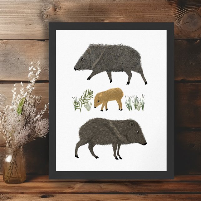 Affiche Javelina Family Portrait Animaux du désert (Javelina Family Portrait Desert Animals Poster Wall Art Illustration)