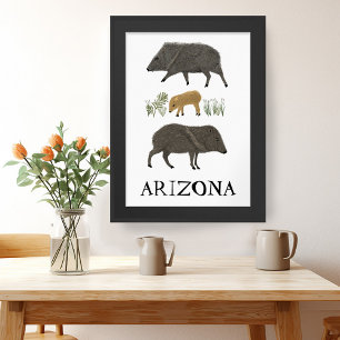 Affiche Javelina Family Portrait Animaux du désert ARIZONA