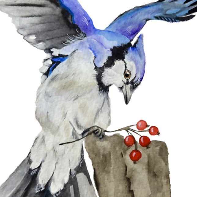 Affiche Jay bleu d'oiseau de la forêt (Créateur téléchargé)