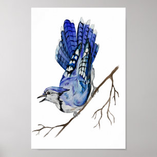 Affiche Jay bleu d'oiseau de la forêt