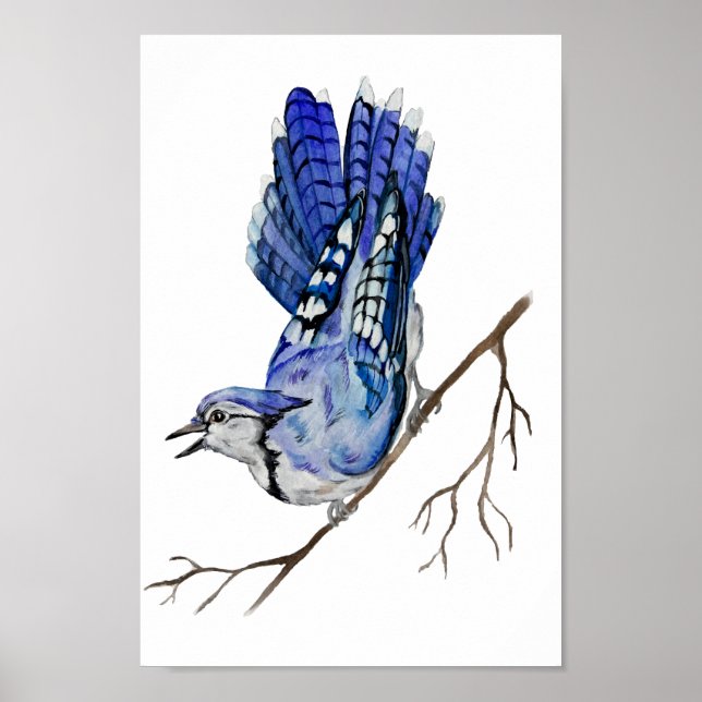 Affiche Jay bleu d'oiseau de la forêt (Devant)