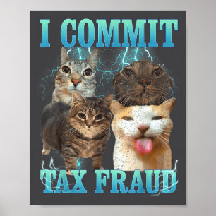 Affiche Je Commet une Fraude Fiscale Mème de Chat Drôle Gr