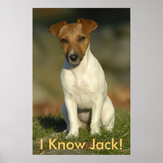 Affiche Je Connais Jack !