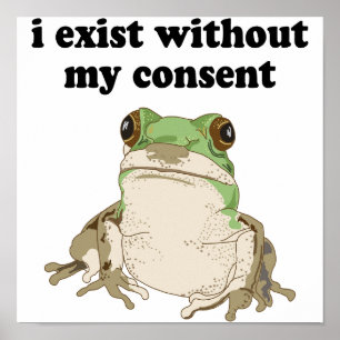 Affiche Je existe sans mon consentement Grenouille Mème dr