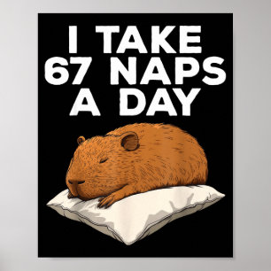 Affiche Je fais 67 siestes par jour Capybara drôle Six Sep