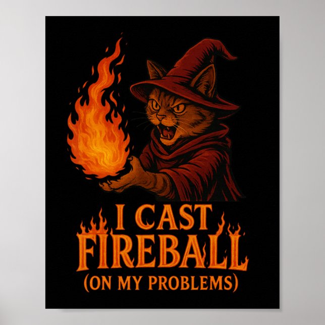 Affiche Je Lance Boule De Feu Sur Ma Famille De Chat Probl (Devant)