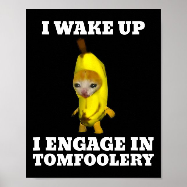 Affiche Je Me Réveille Je Me Met À Tomfoolery Chat Meme (Devant)
