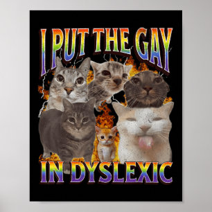 Affiche Je mets le gay dans Dyslexique Mème de chat drôle
