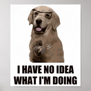 Affiche Je n'ai aucune idée ce que je fais