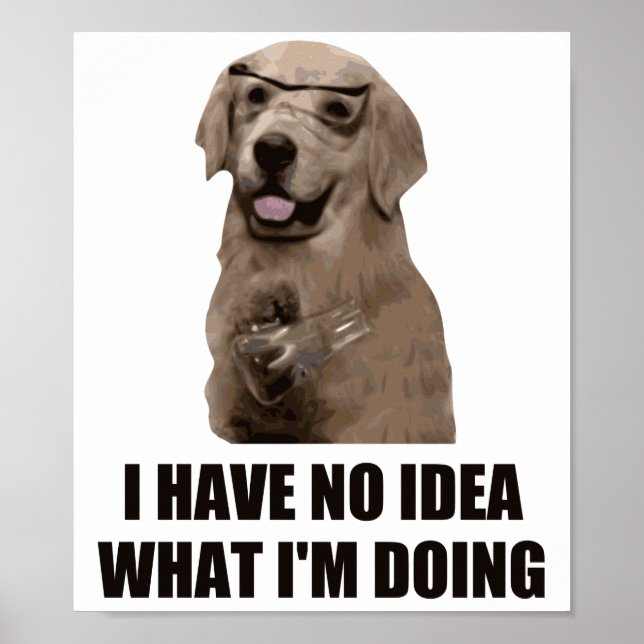 Affiche Je n'ai aucune idée de ce que je fais (Devant)