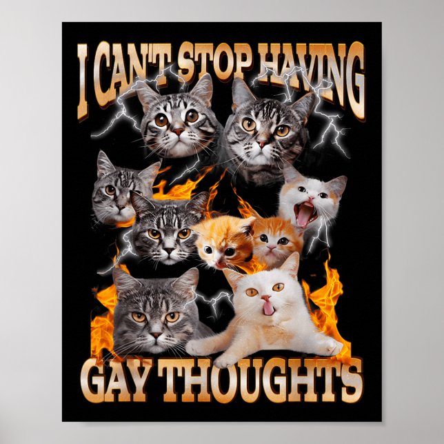 Affiche Je n'arrête pas d'avoir des pensées gay Mème de ch (Devant)