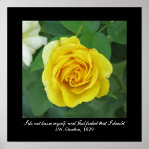 Affiche Je ne me connais pas. . . (Goethe)