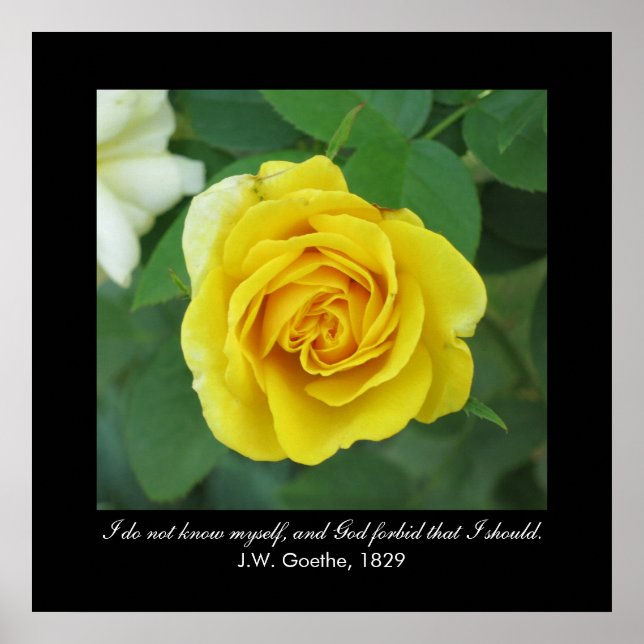 Affiche Je ne me connais pas. . . (Goethe) (Devant)