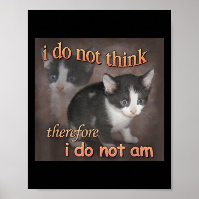 Affiche Je ne pense donc je ne suis pas Cat Meme Men  (Devant)