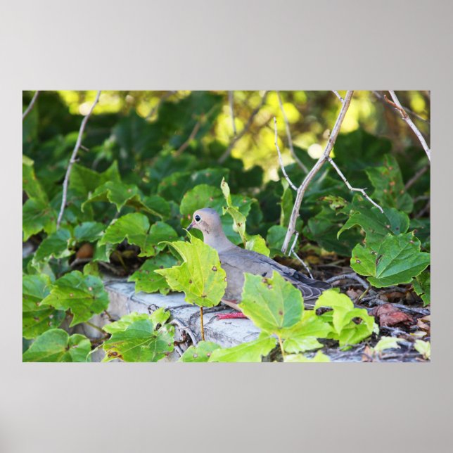 Affiche Je ne peux pas me voir (Devant)