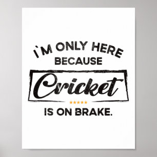 Affiche Je ne suis ici que parce que Cricket