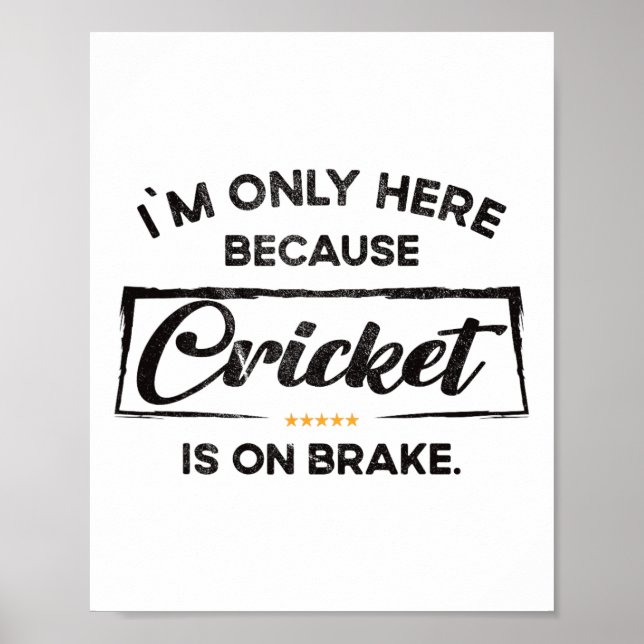 Affiche Je ne suis ici que parce que Cricket  (Devant)