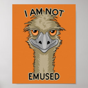 Affiche Je Ne Suis Pas Emusé Drôle Emu Pun   Orange