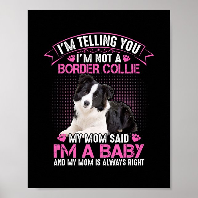 Affiche Je ne suis pas une frontière Collie Ma mère dit qu (Devant)