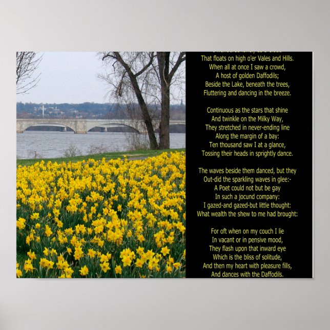 AFFICHE JE NE VOULAIS QUE COMME UN NUAGE (Devant)