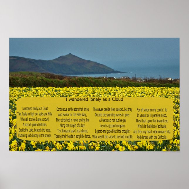 AFFICHE JE NE VOULAIS QUE COMME UN NUAGE (Devant)