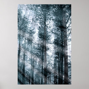 Affiche Je parle aux arbres...